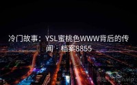 冷门故事：YSL蜜桃色WWW背后的传闻 · 档案8855