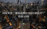 网友笑疯：蜜桃视频在线IOS被玩坏 · 档案5099
