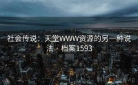 社会传说：天堂WWW资源的另一种说法 · 档案1593