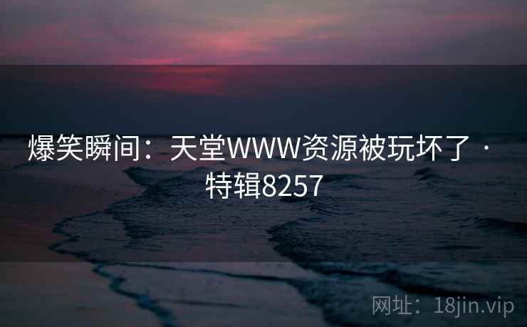爆笑瞬间：天堂WWW资源被玩坏了 · 特辑8257